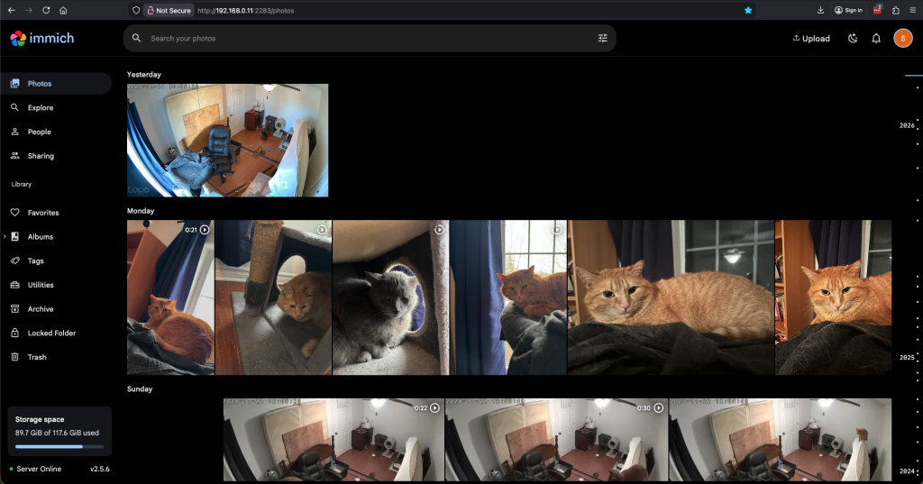 The immich web app interface in Gallery mode.